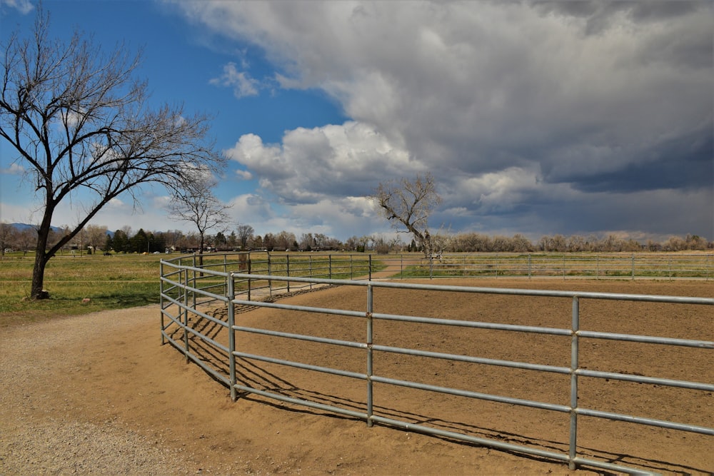 a dirt field with a fence and a tree