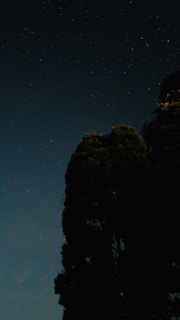 A serene night sky filled with stars above a calm natural landscape, blending cosmic and earthy elements.