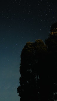 A serene night sky filled with stars above a calm natural landscape, blending cosmic and earthy elements.