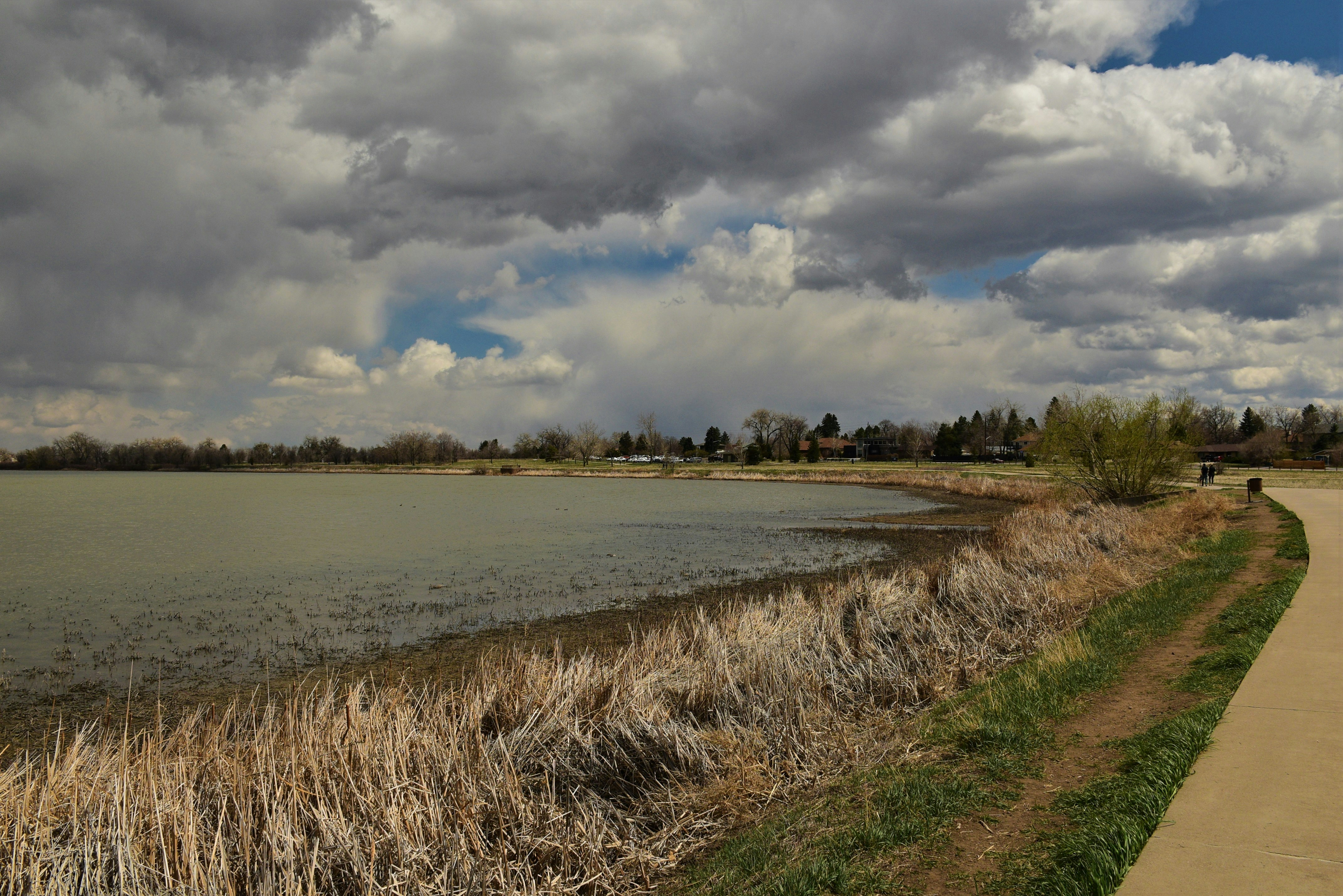 Shay park