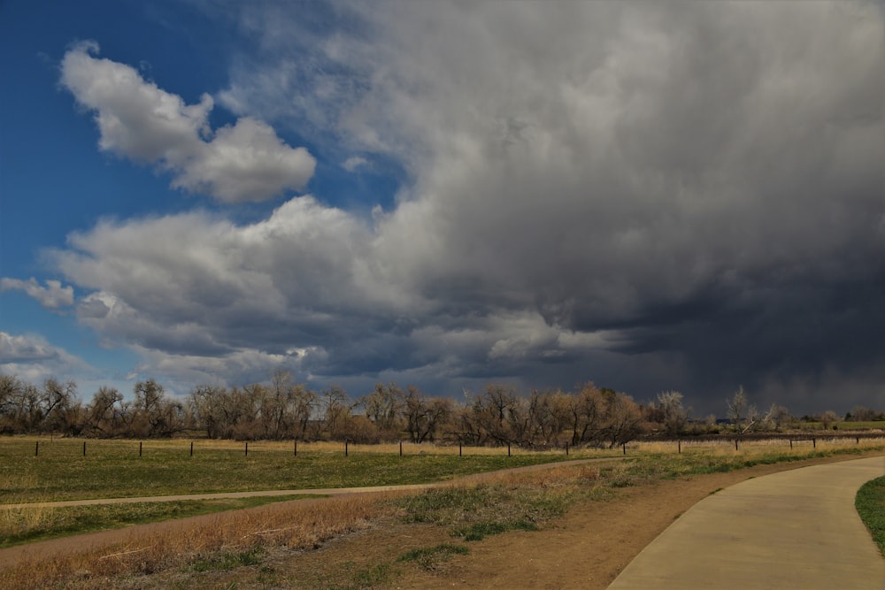 a dirt path leading to a grassy field under a cloudy sky