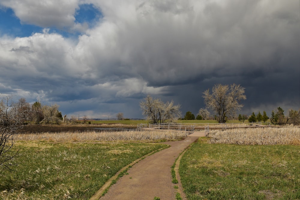 a dirt path in a grassy field under a cloudy sky