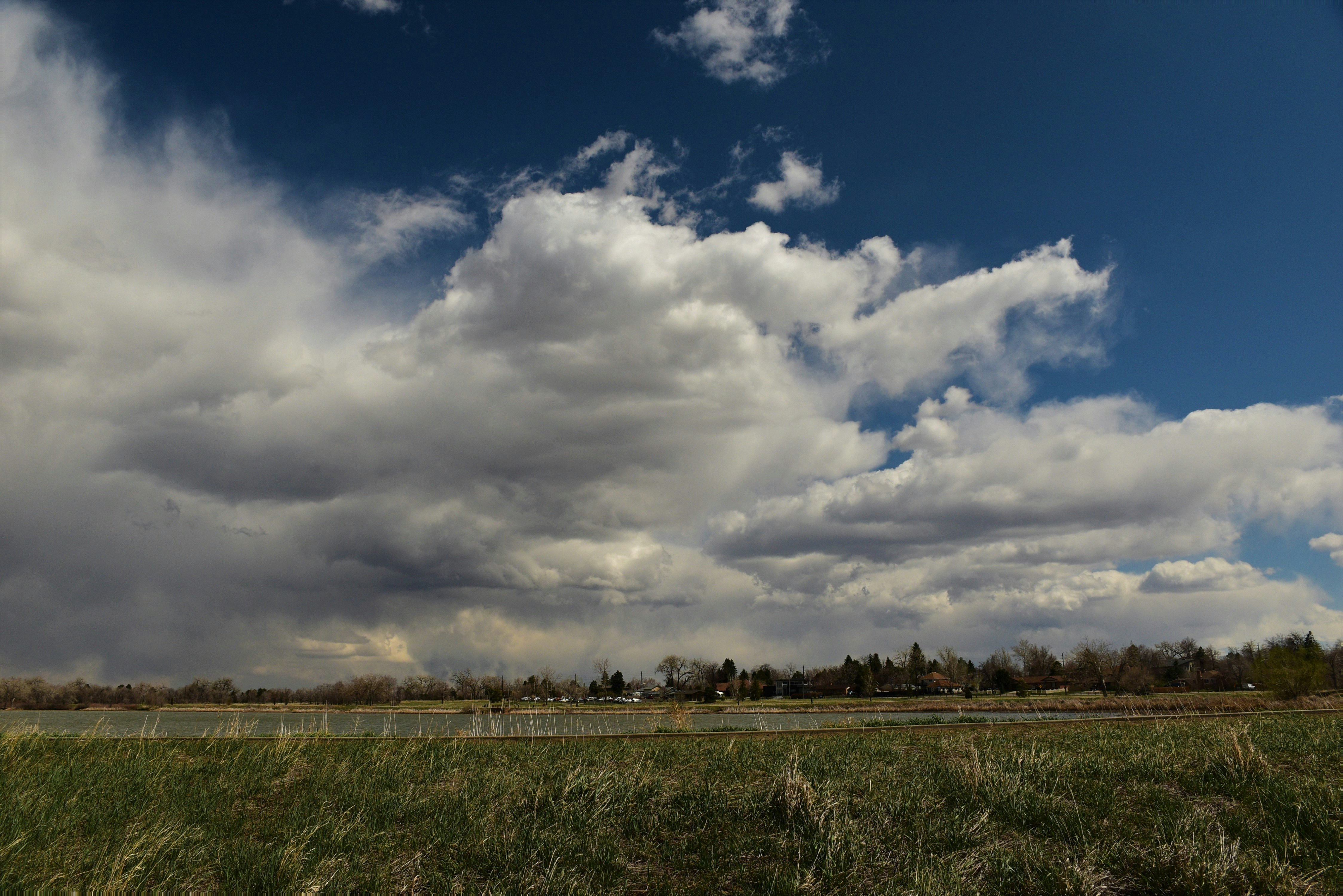 Photo by gennady107