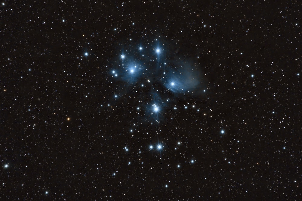 a cluster of stars in the night sky