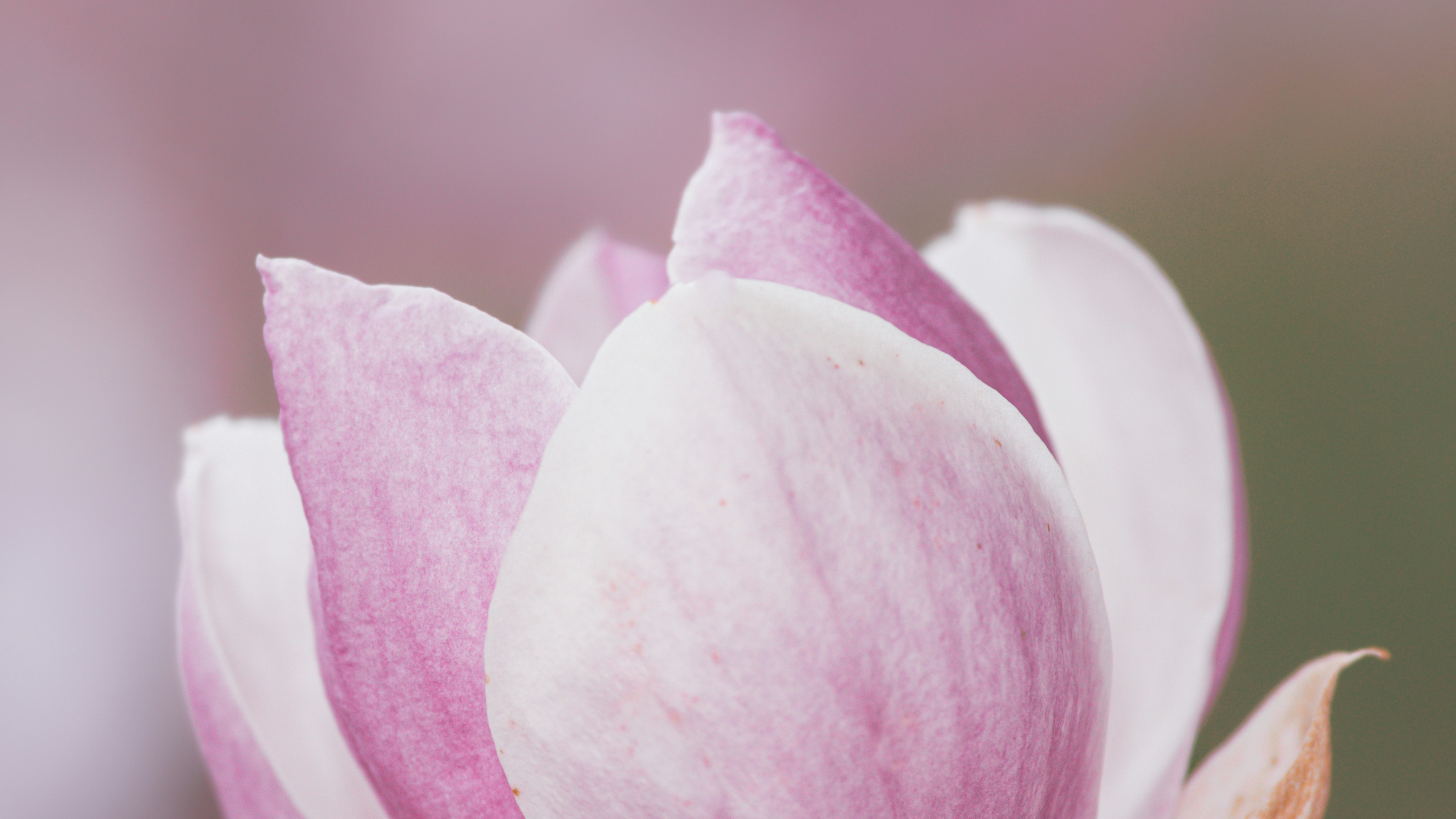 Photo by kierinsightarchives