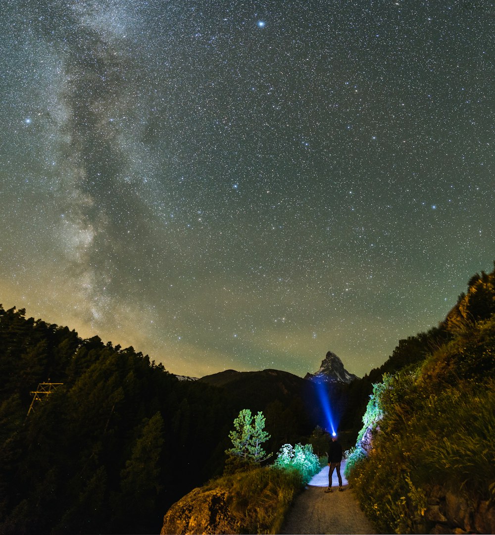 a person standing on a path under a night sky