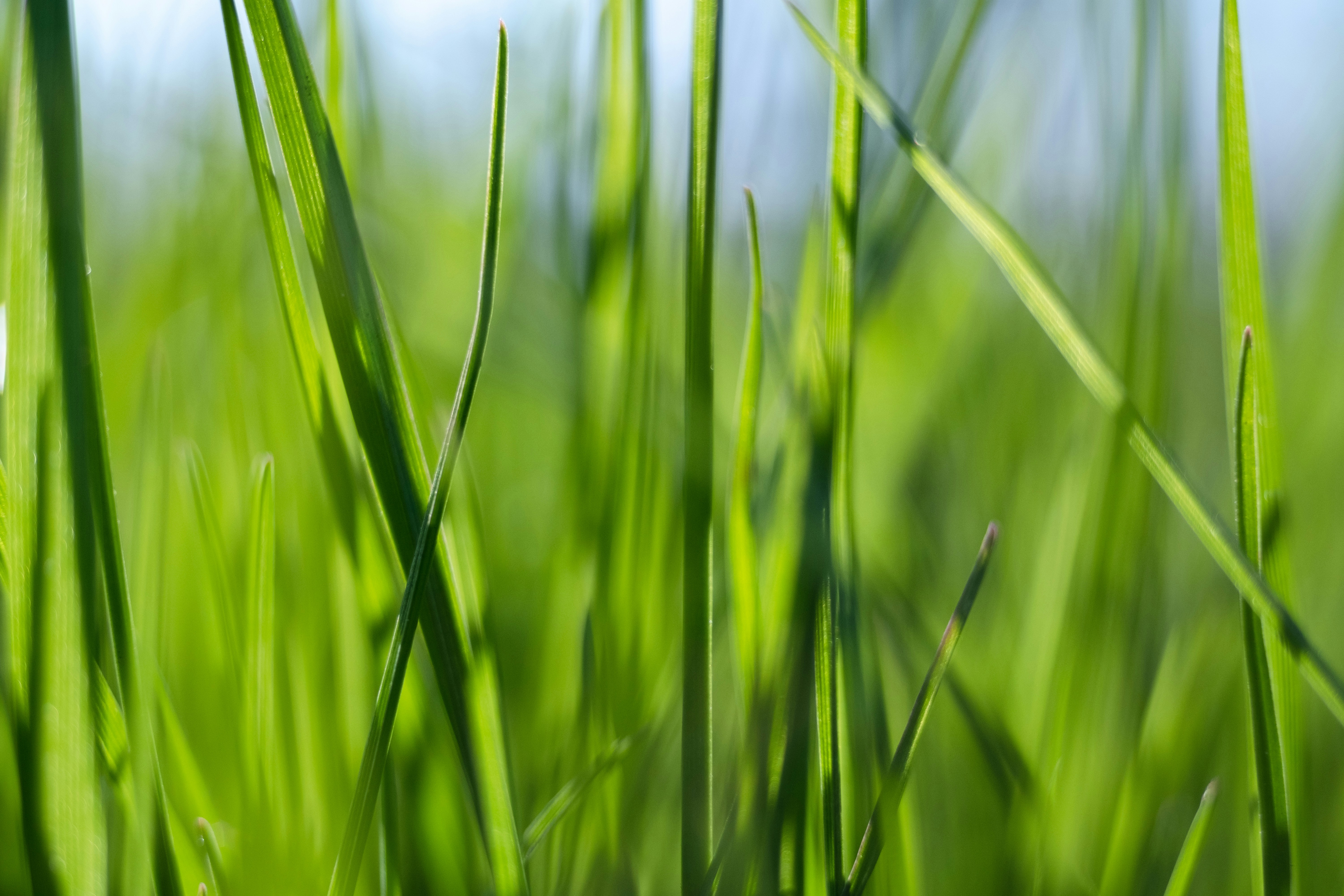 Photo by sevencolors