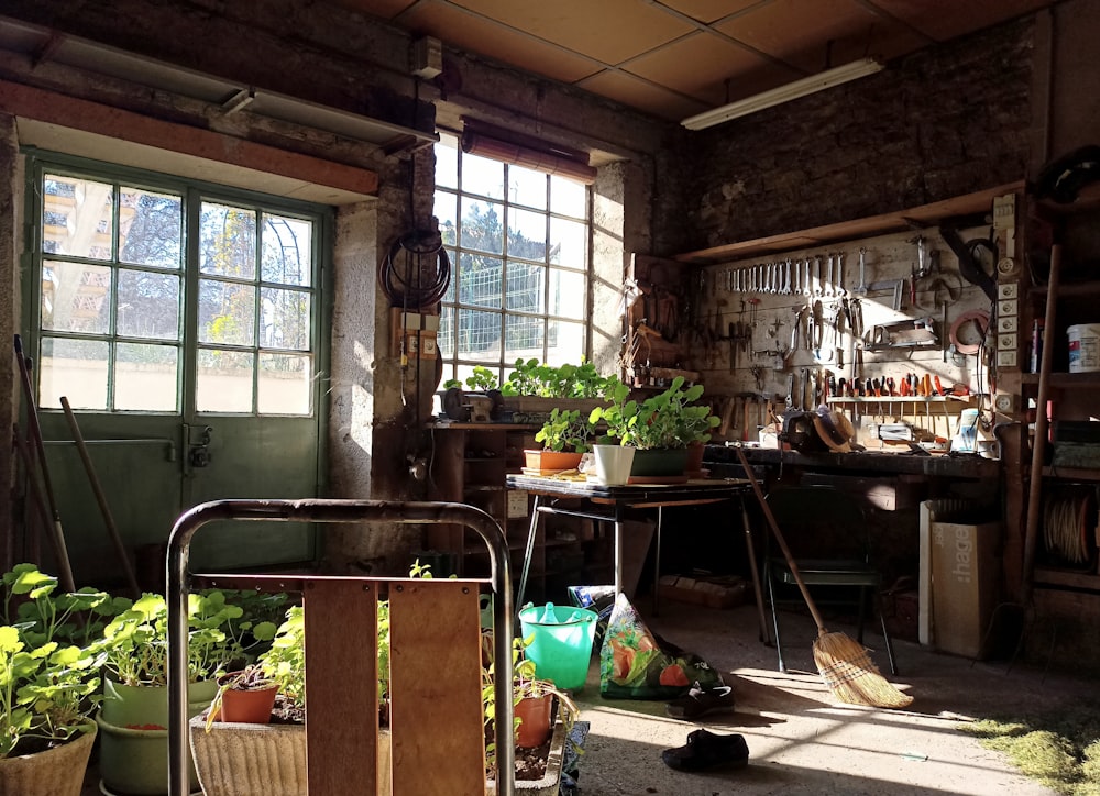 a room filled with lots of potted plants