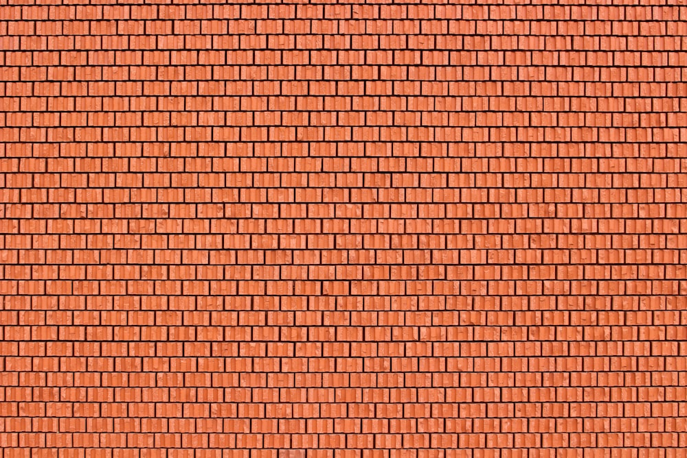 a red brick wall with a black cat sitting on top of it