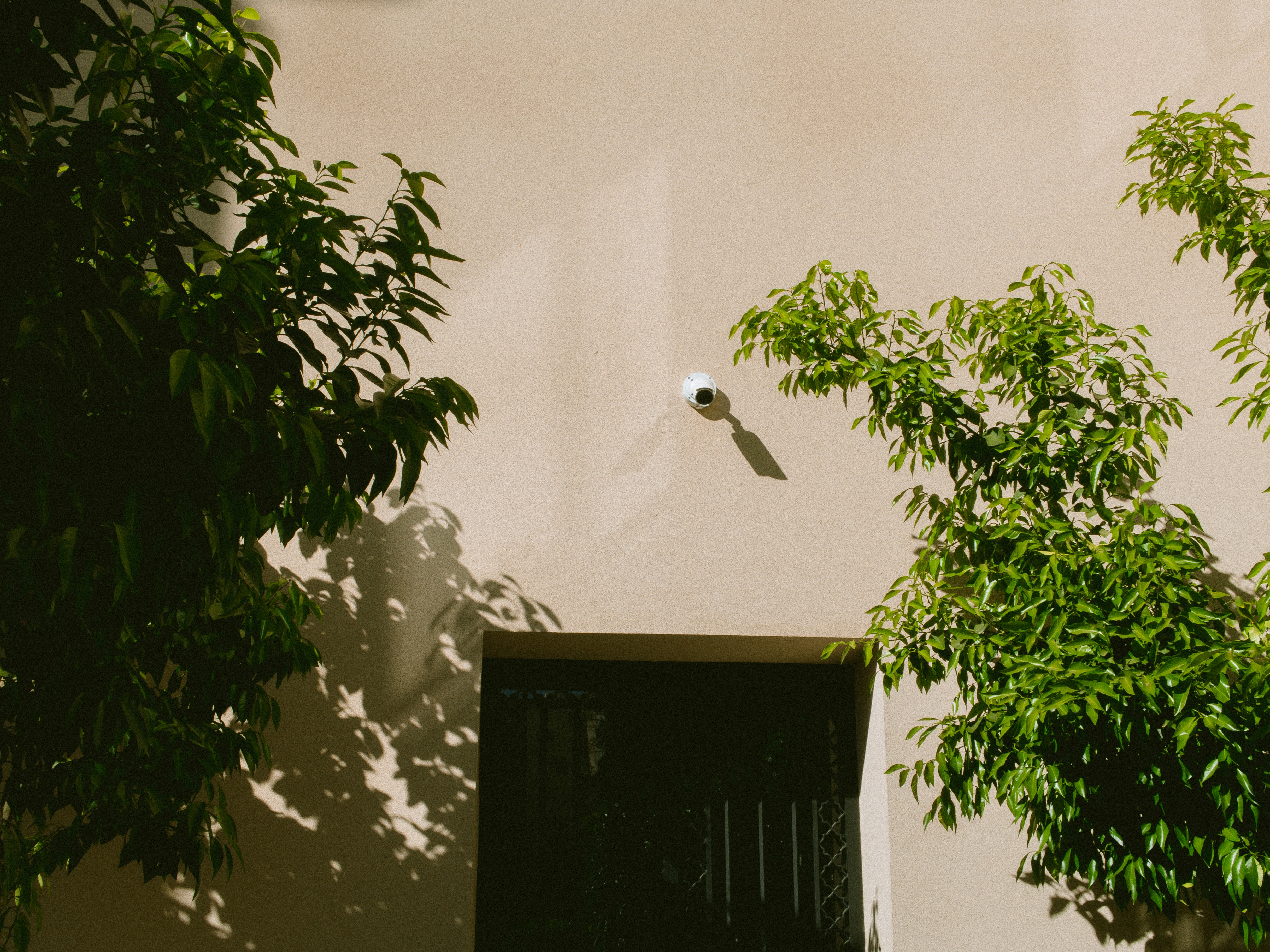 Photo by seenthroughmpk