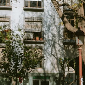 a tall white building sitting next to a tree