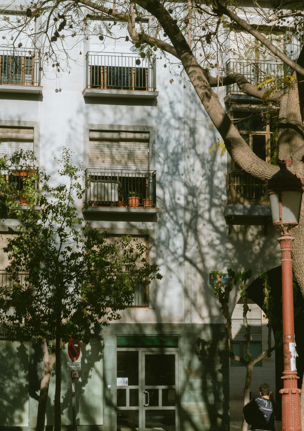 a tall white building sitting next to a tree