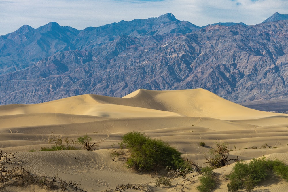 a mountain range in the distance with sand dunes in the foreground