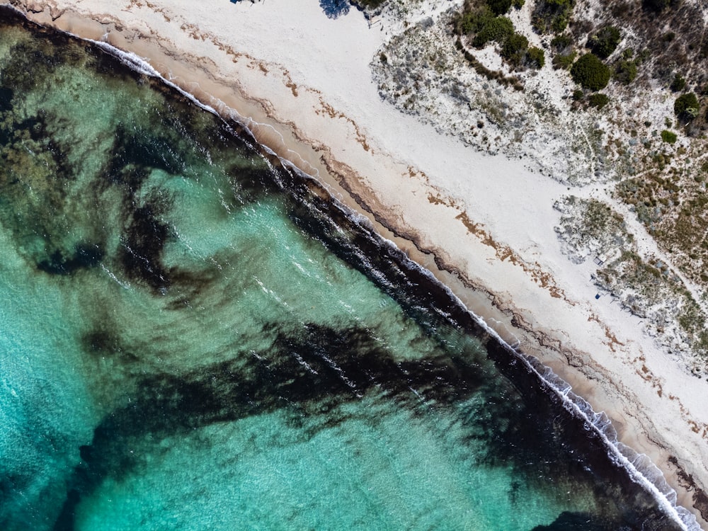 an aerial view of a sandy beach and ocean