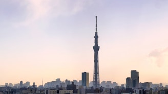 a view of a city with a very tall tower