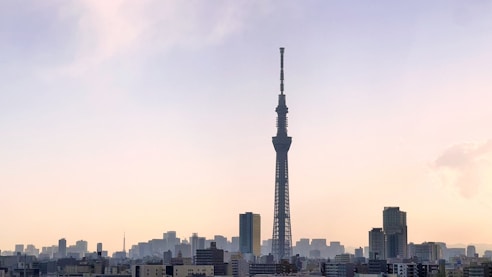 a view of a city with a very tall tower
