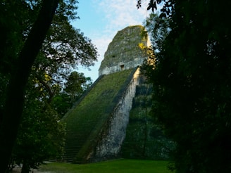 a very tall building sitting in the middle of a forest