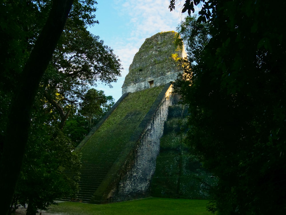 a very tall building sitting in the middle of a forest