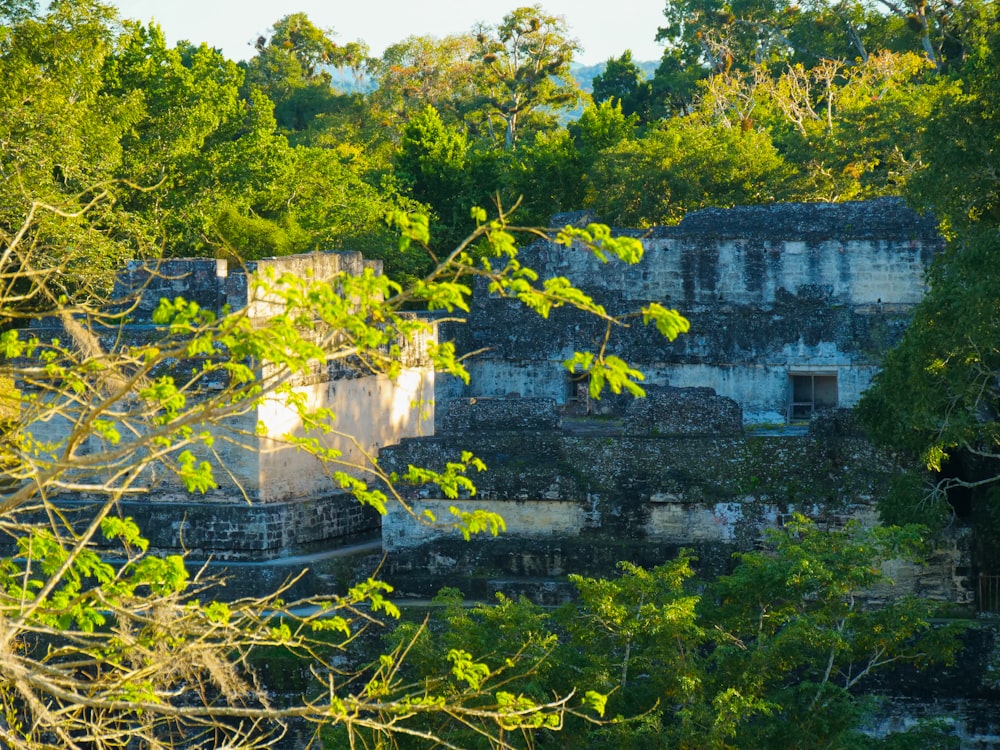the ruins of a building surrounded by trees