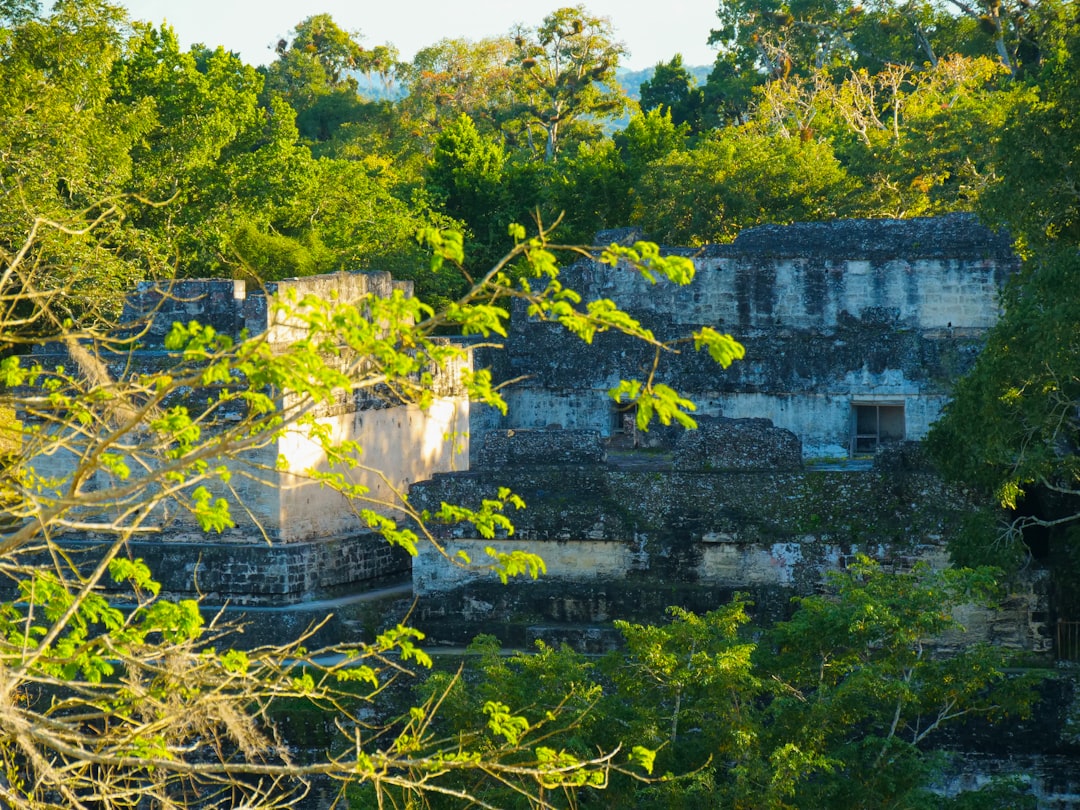 the ruins of a building surrounded by trees,