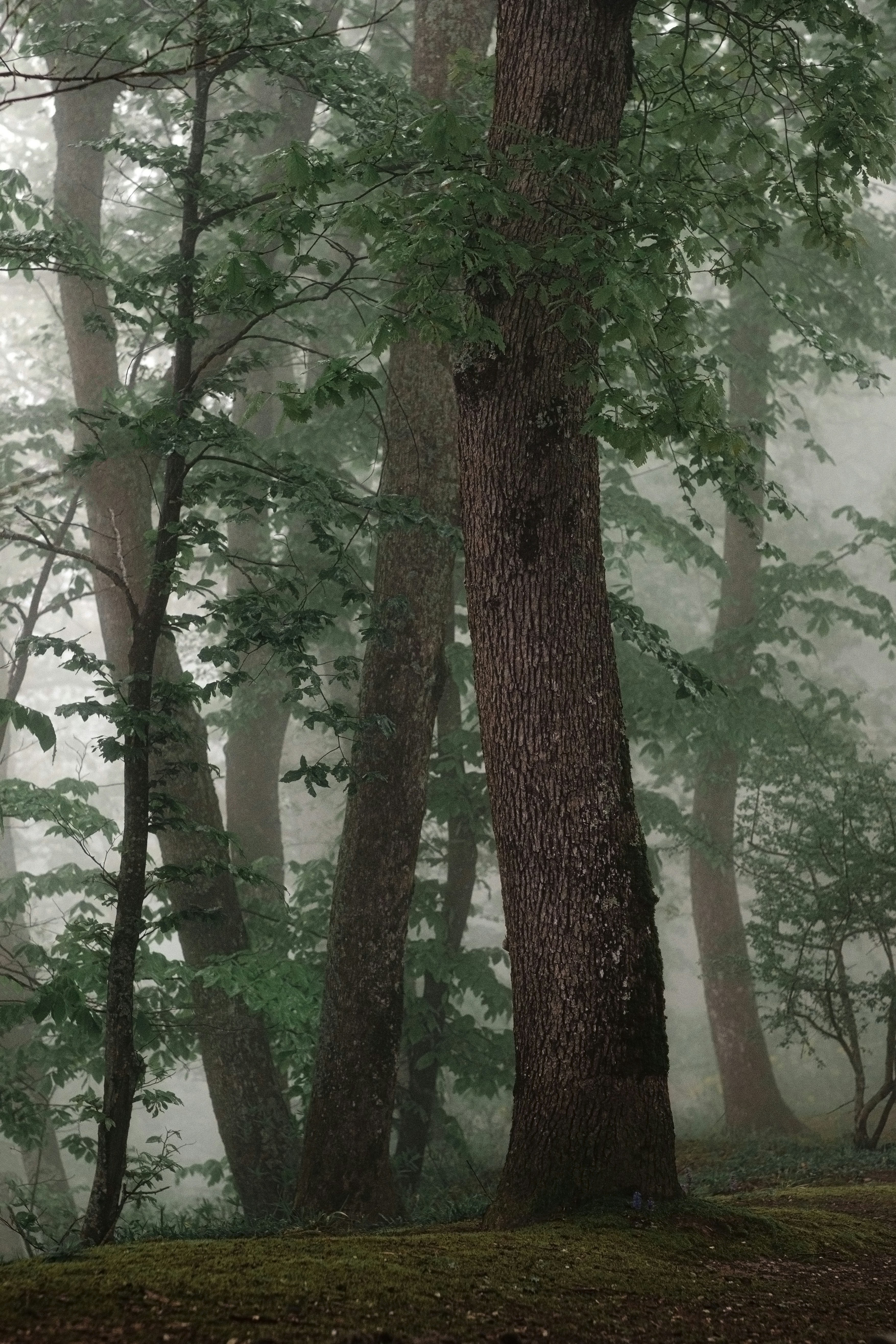 Photo by stasostrikov