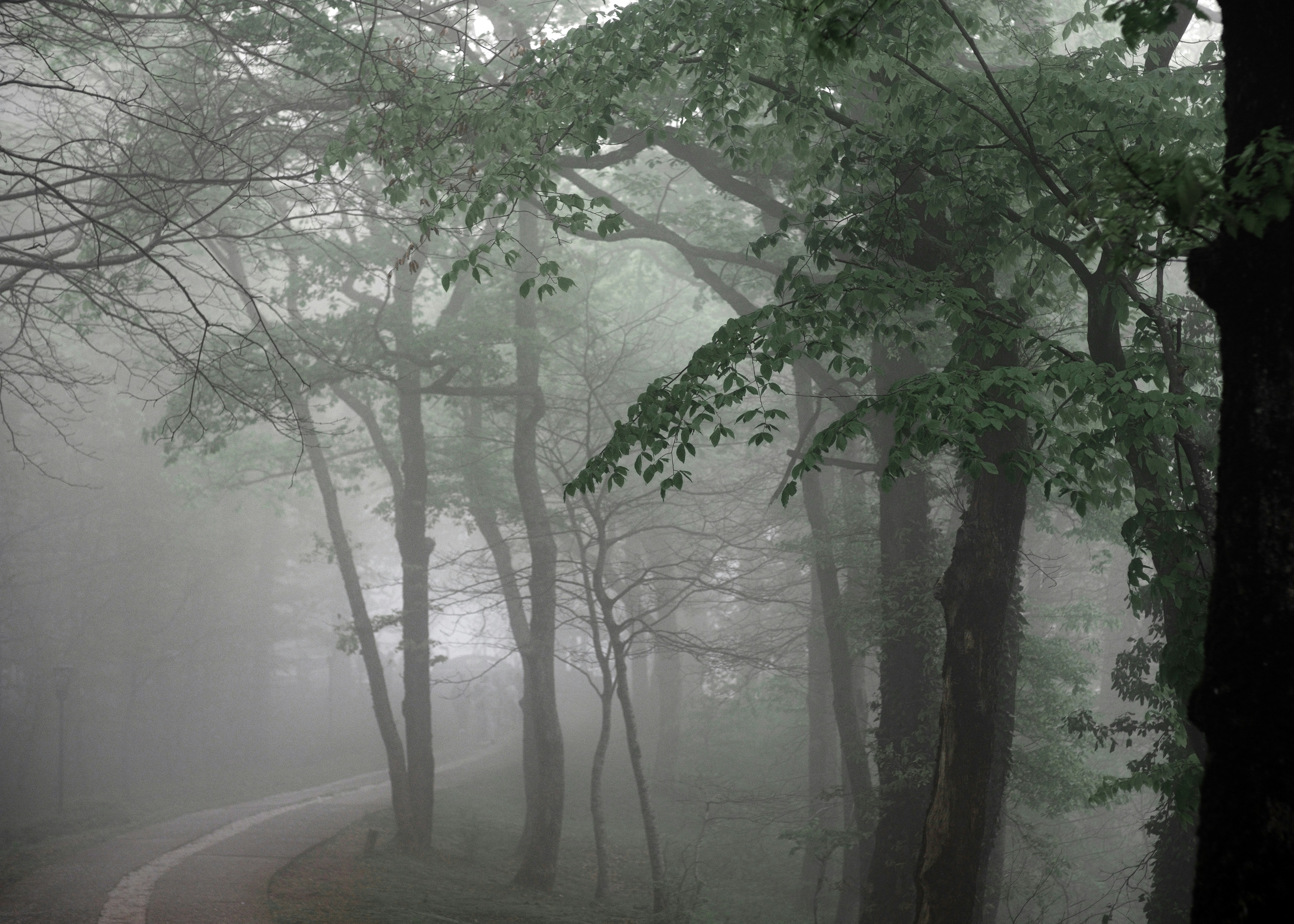 Photo by stasostrikov