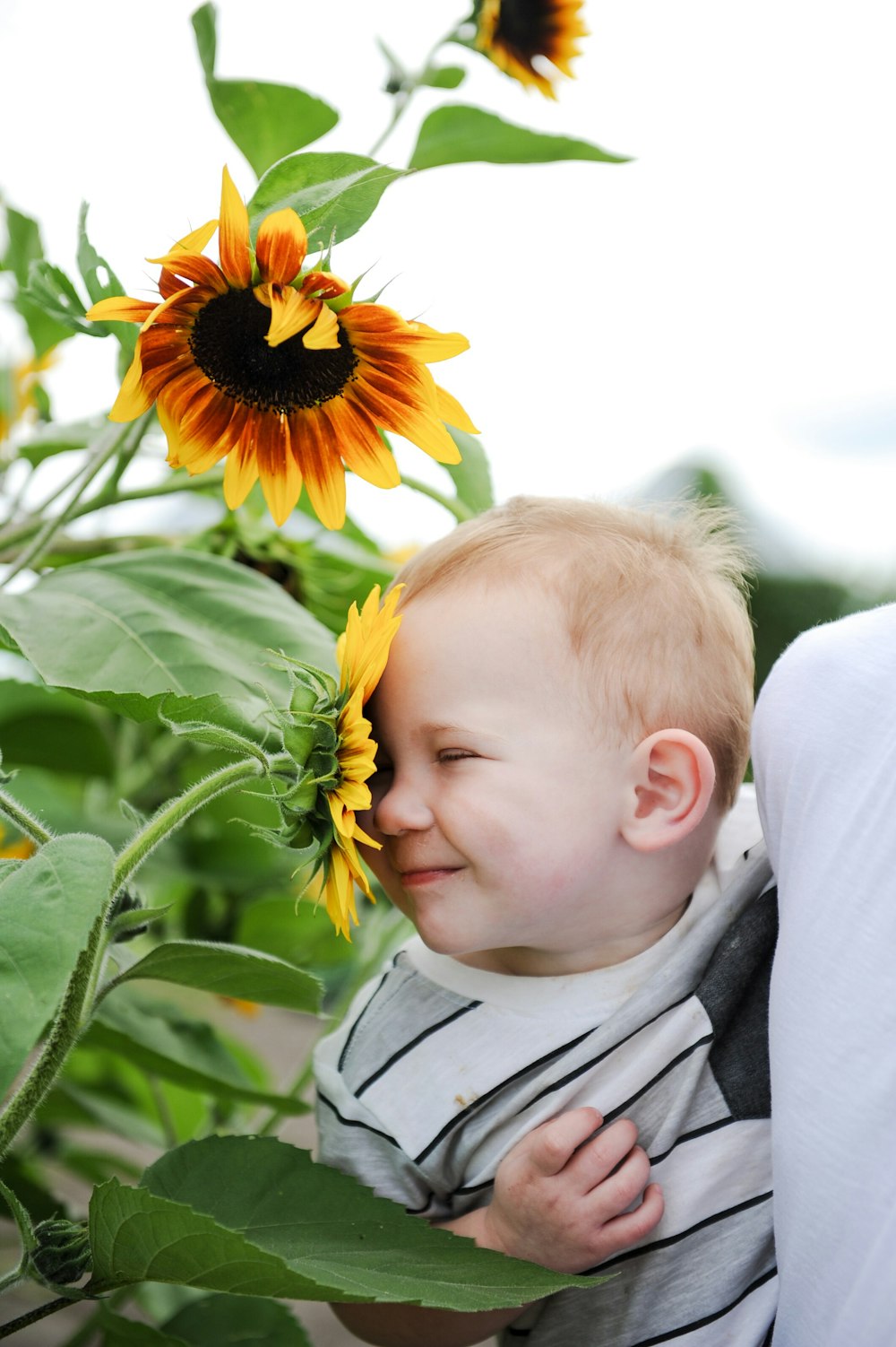 a baby in a bib is looking at a sunflower