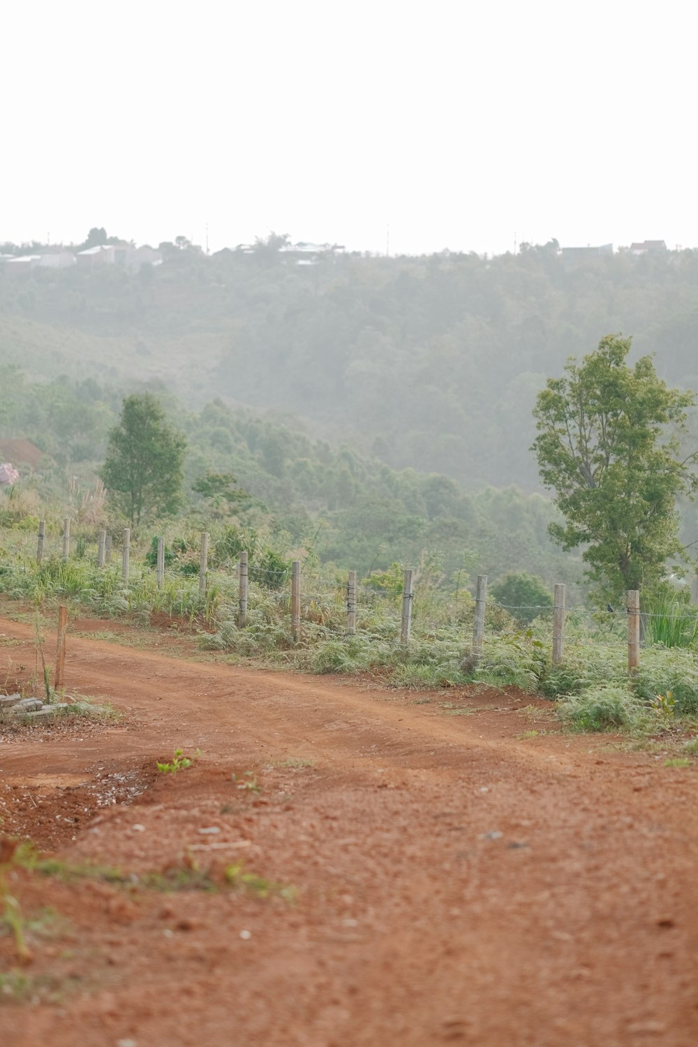 a person riding a horse down a dirt road