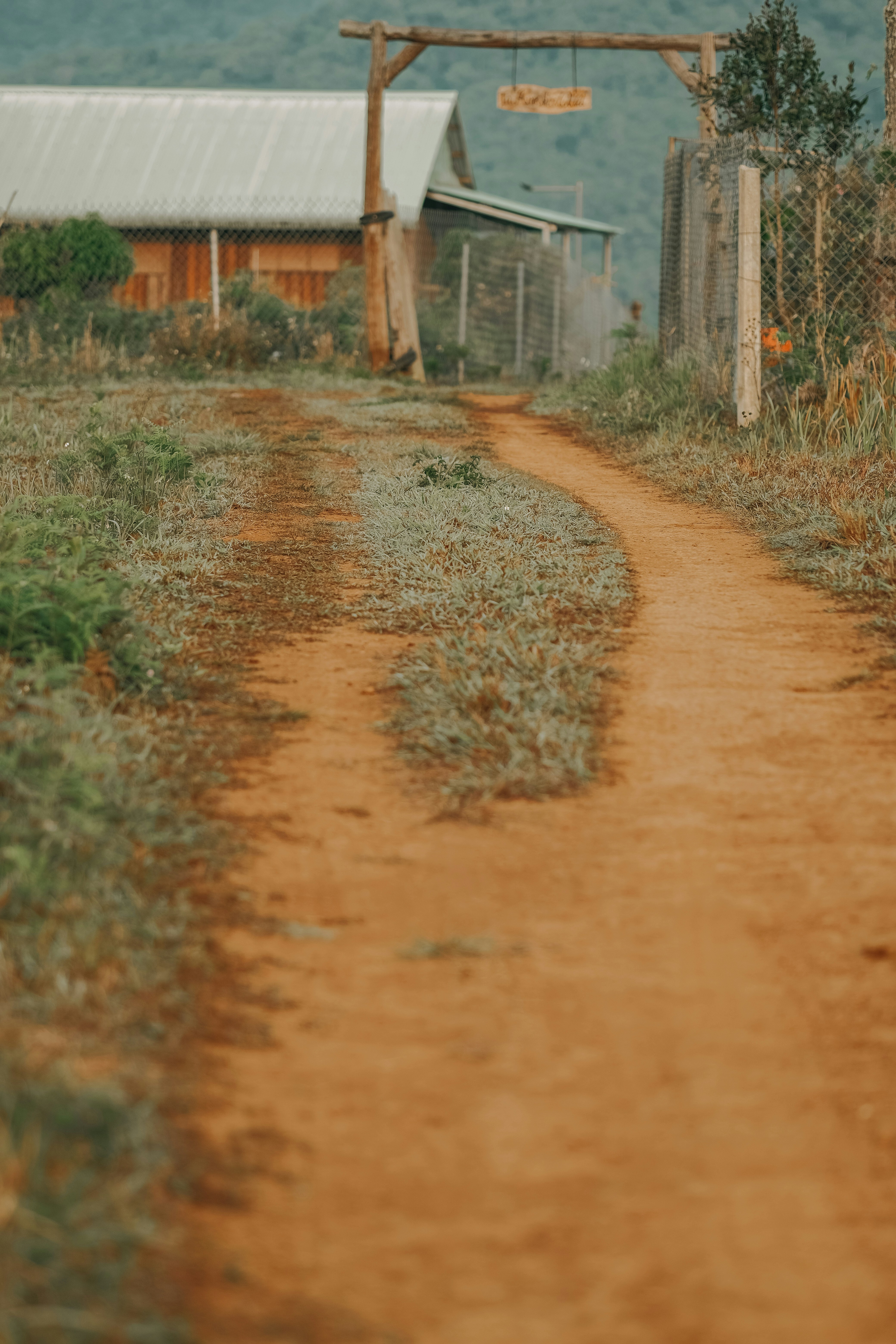 Photo by nguyentrungnguyen