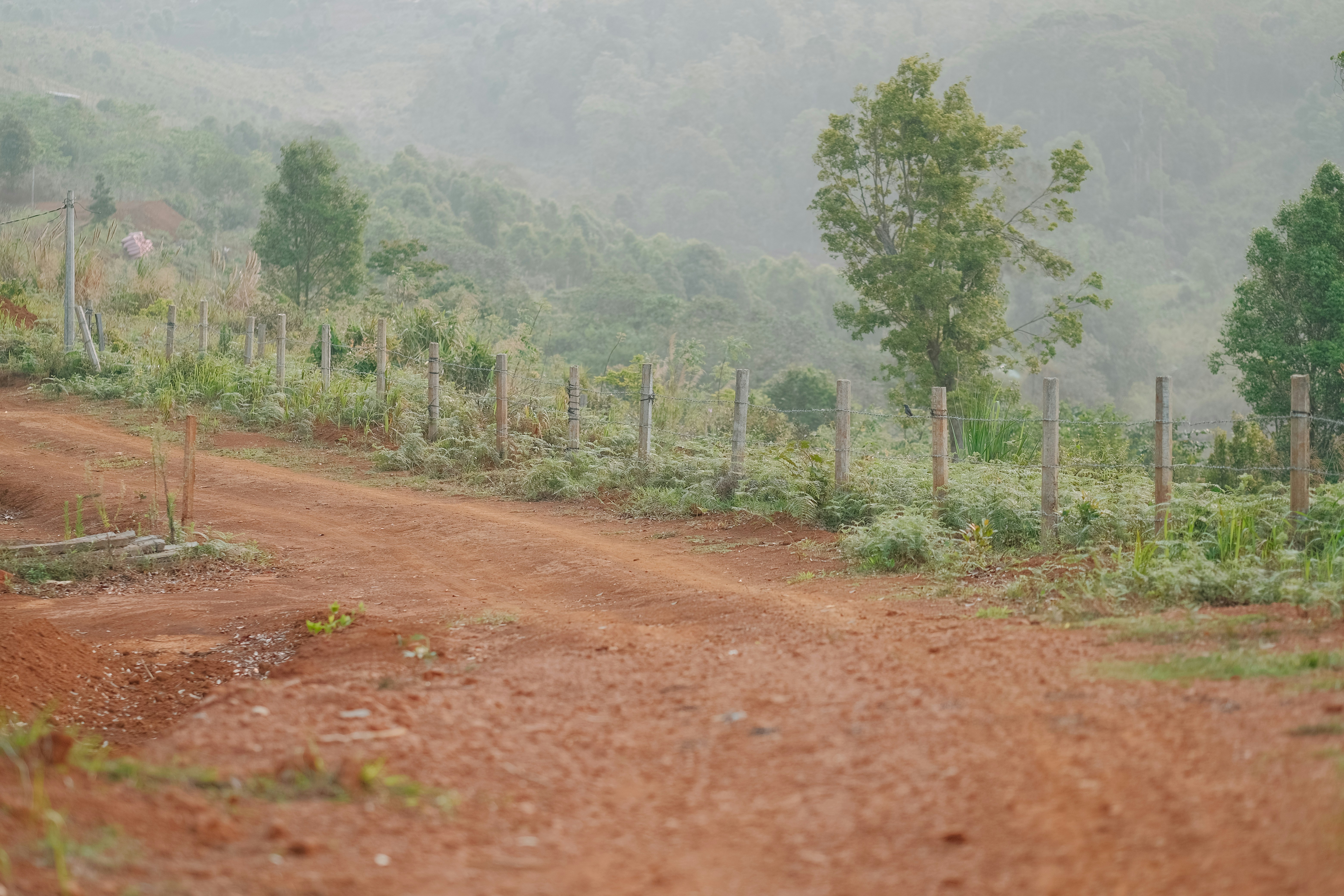 Photo by nguyentrungnguyen