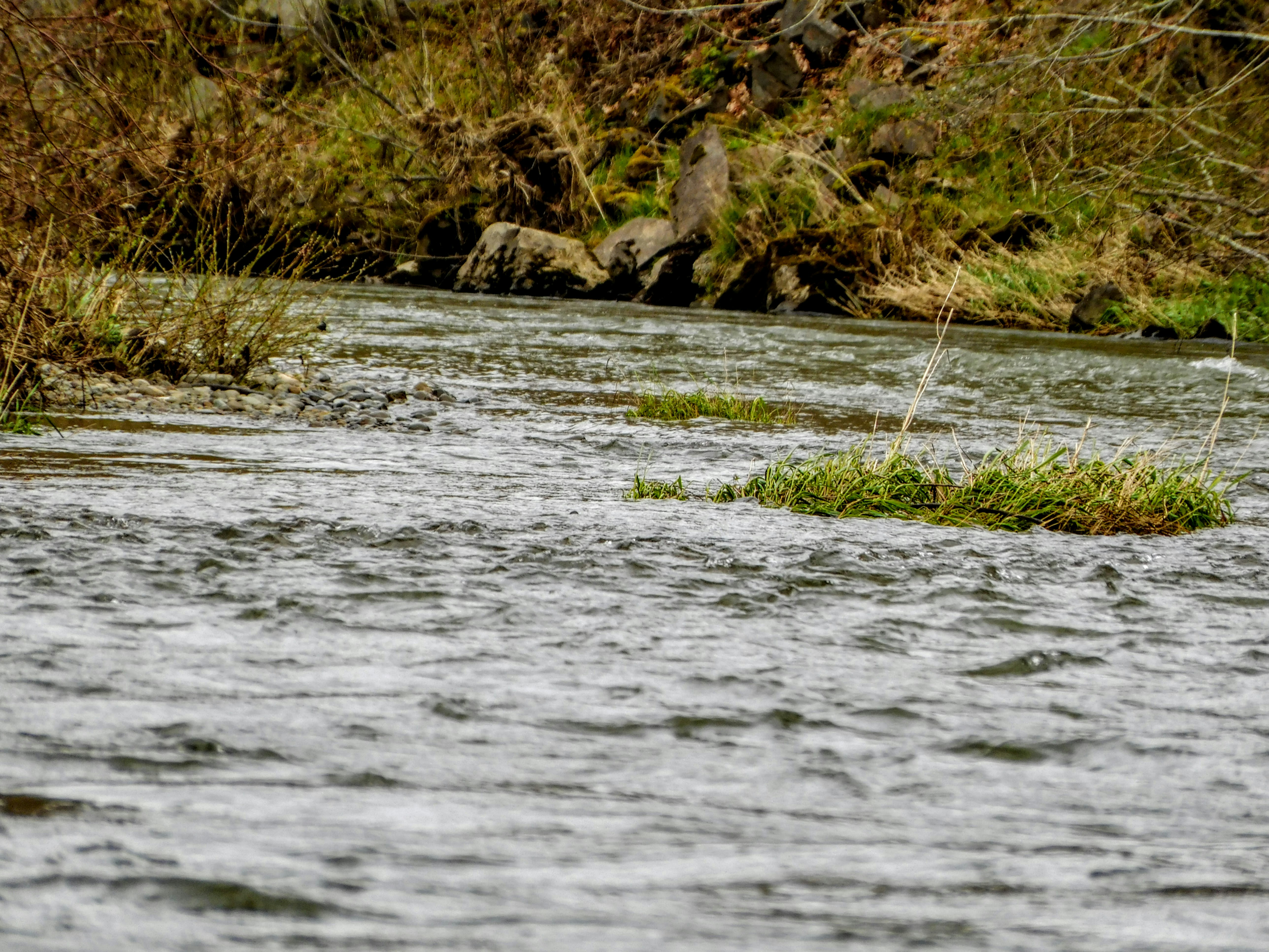 Photo by prphotography262