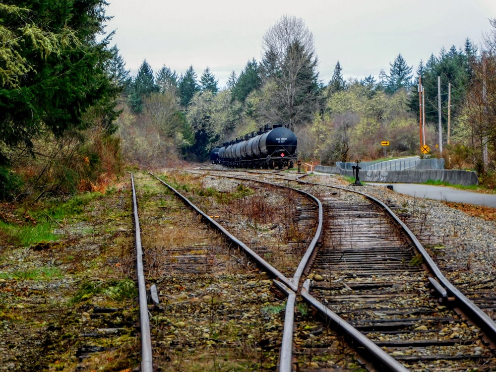 a train traveling down train tracks next to a forest