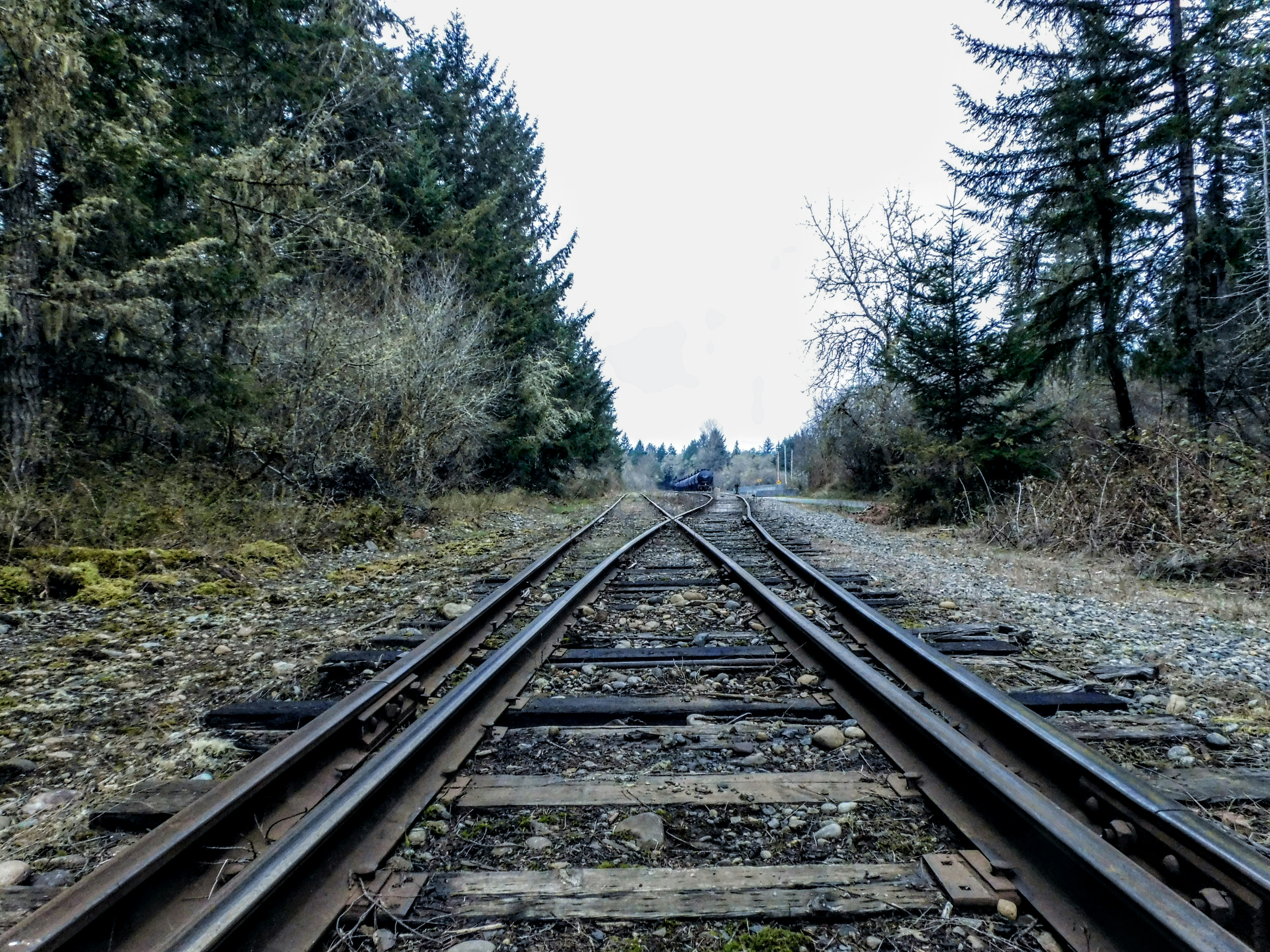 Photo by prphotography262