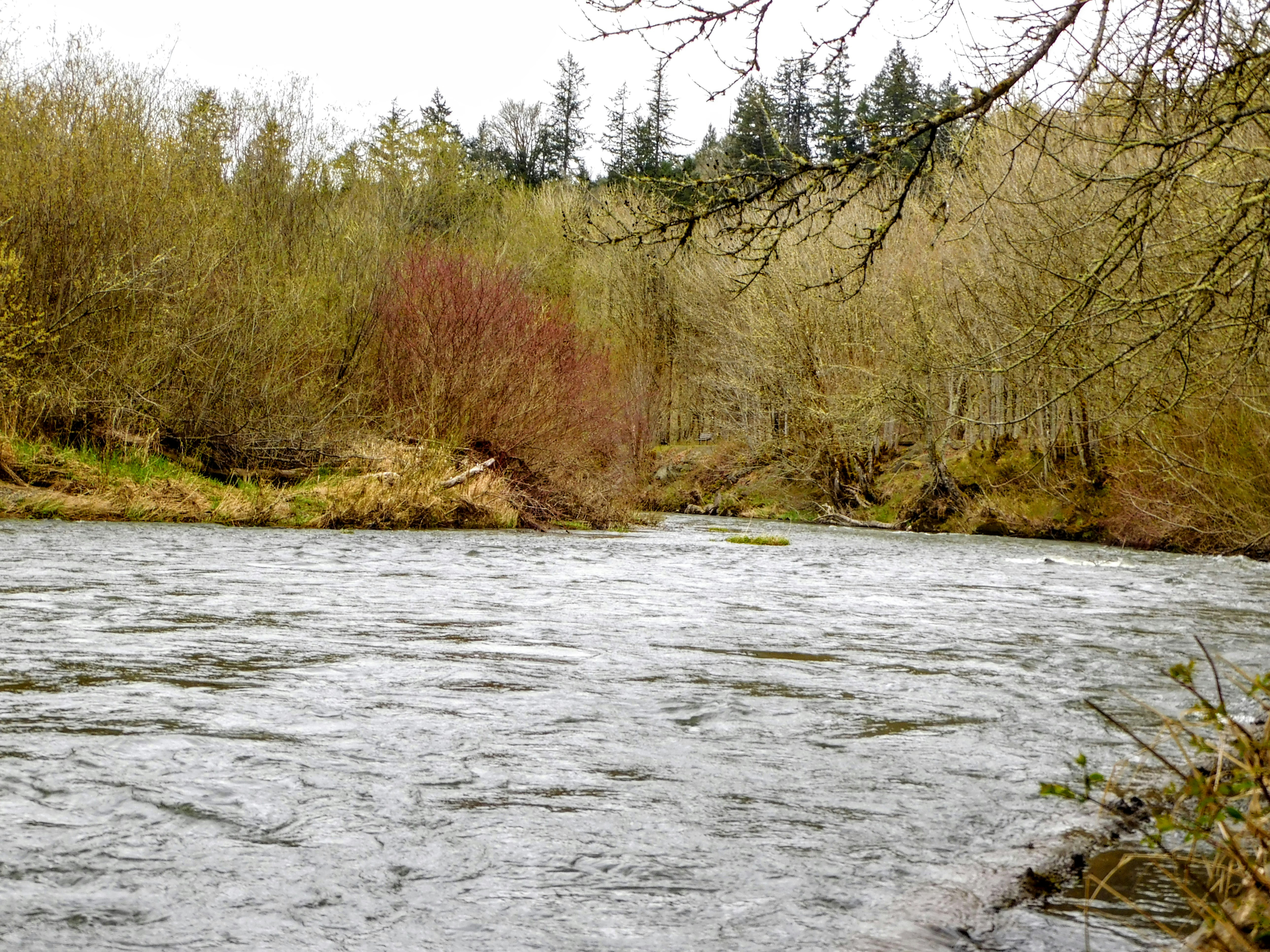 Photo by prphotography262