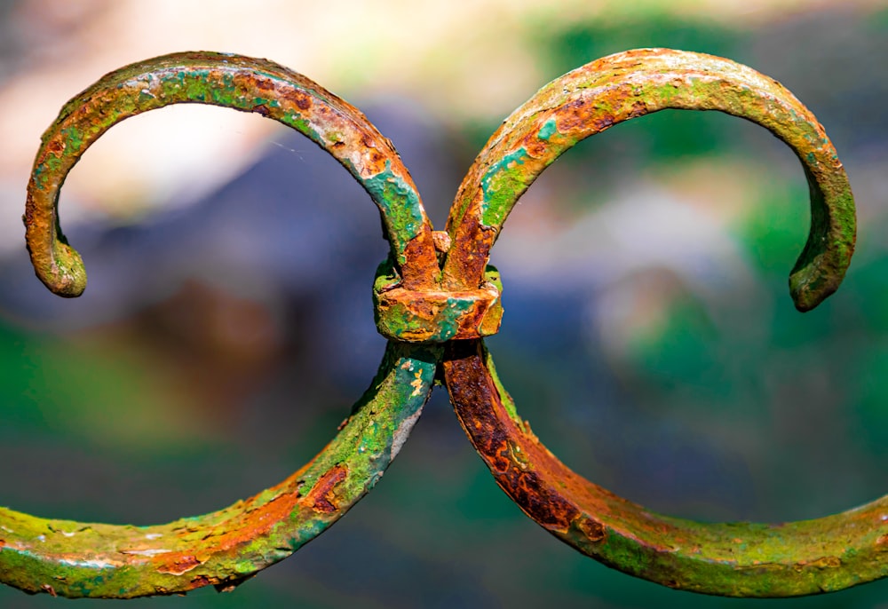 a rusted iron gate with a curved design