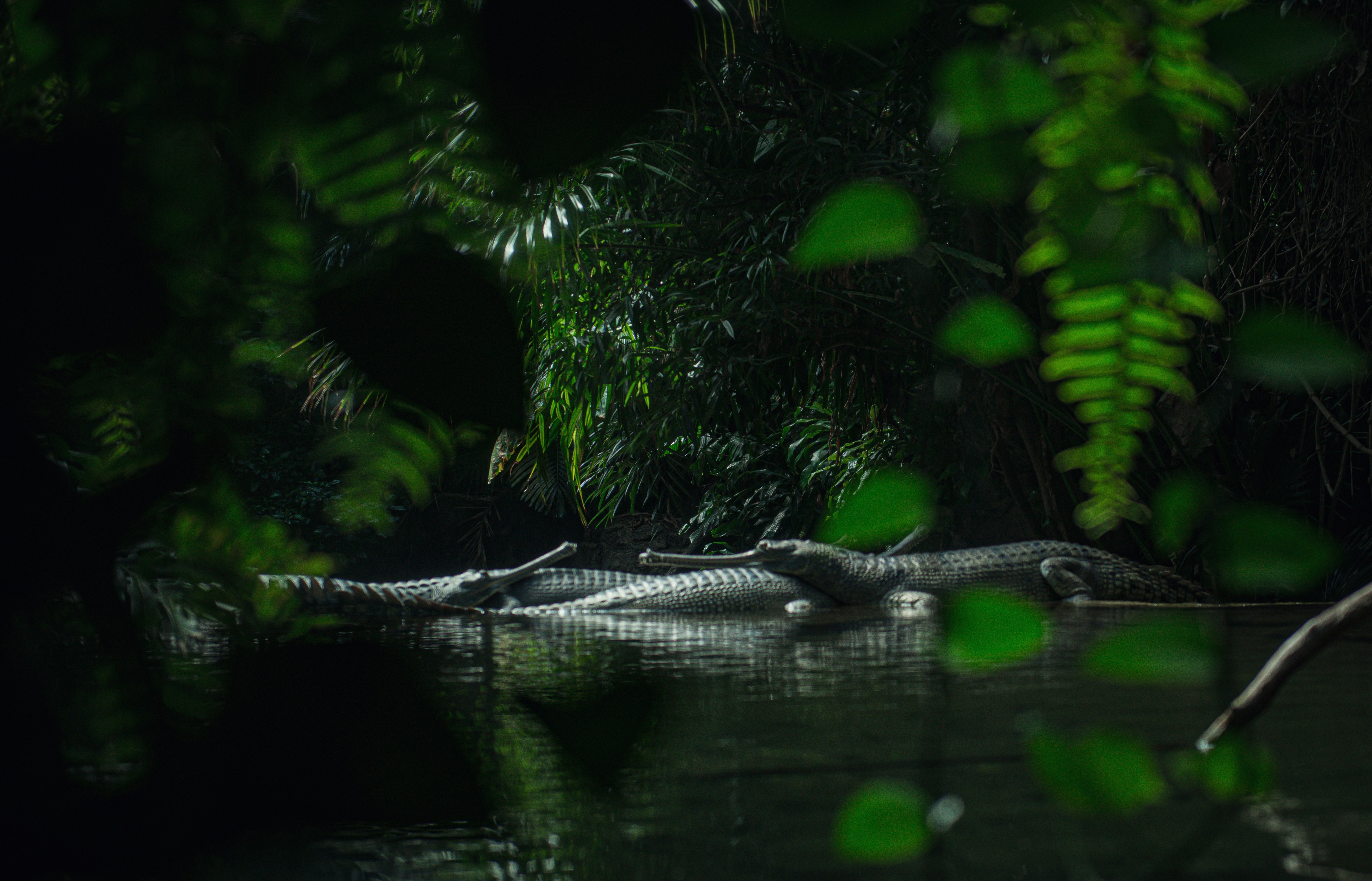 Photo by sadiecoulter