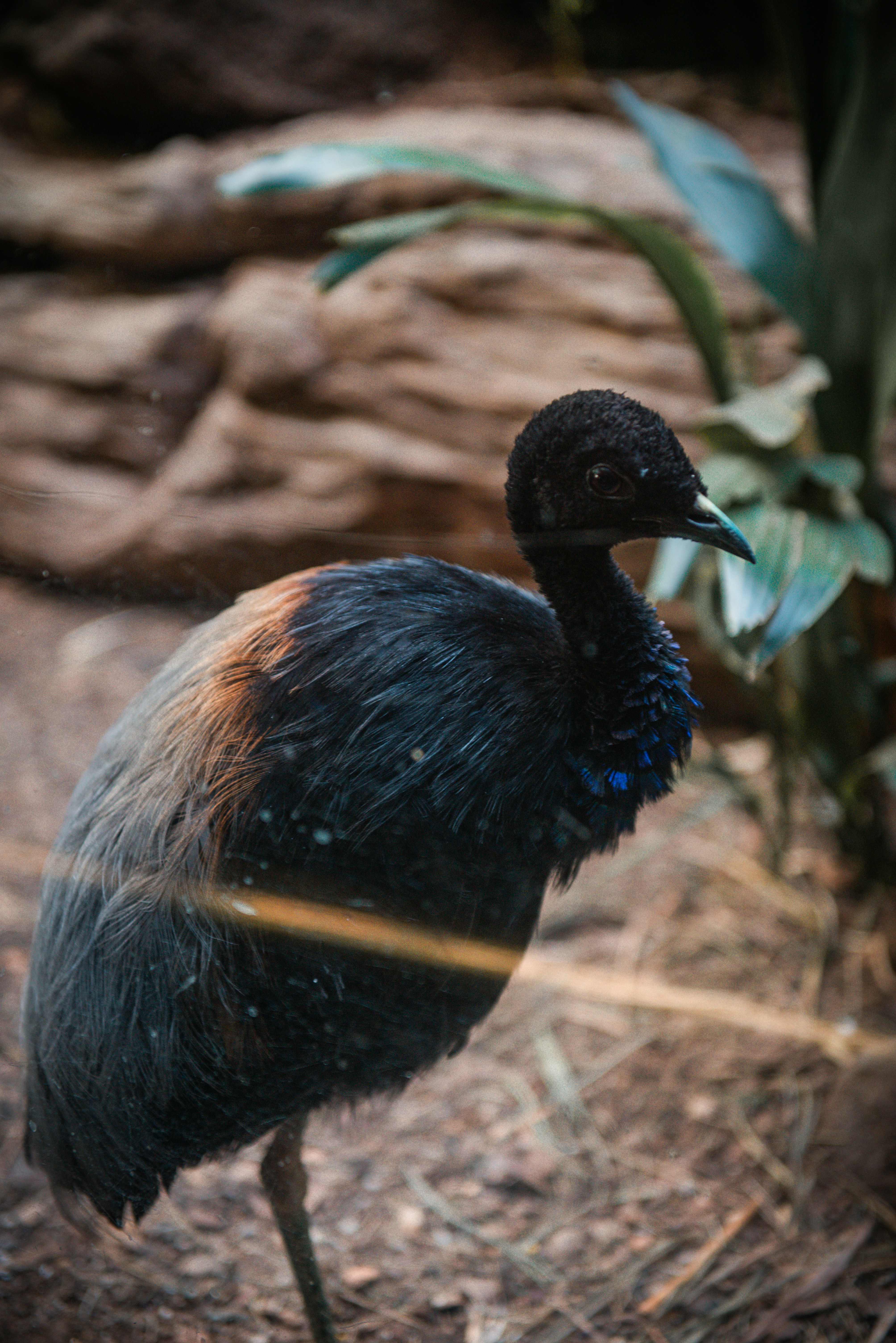 Photo by sadiecoulter