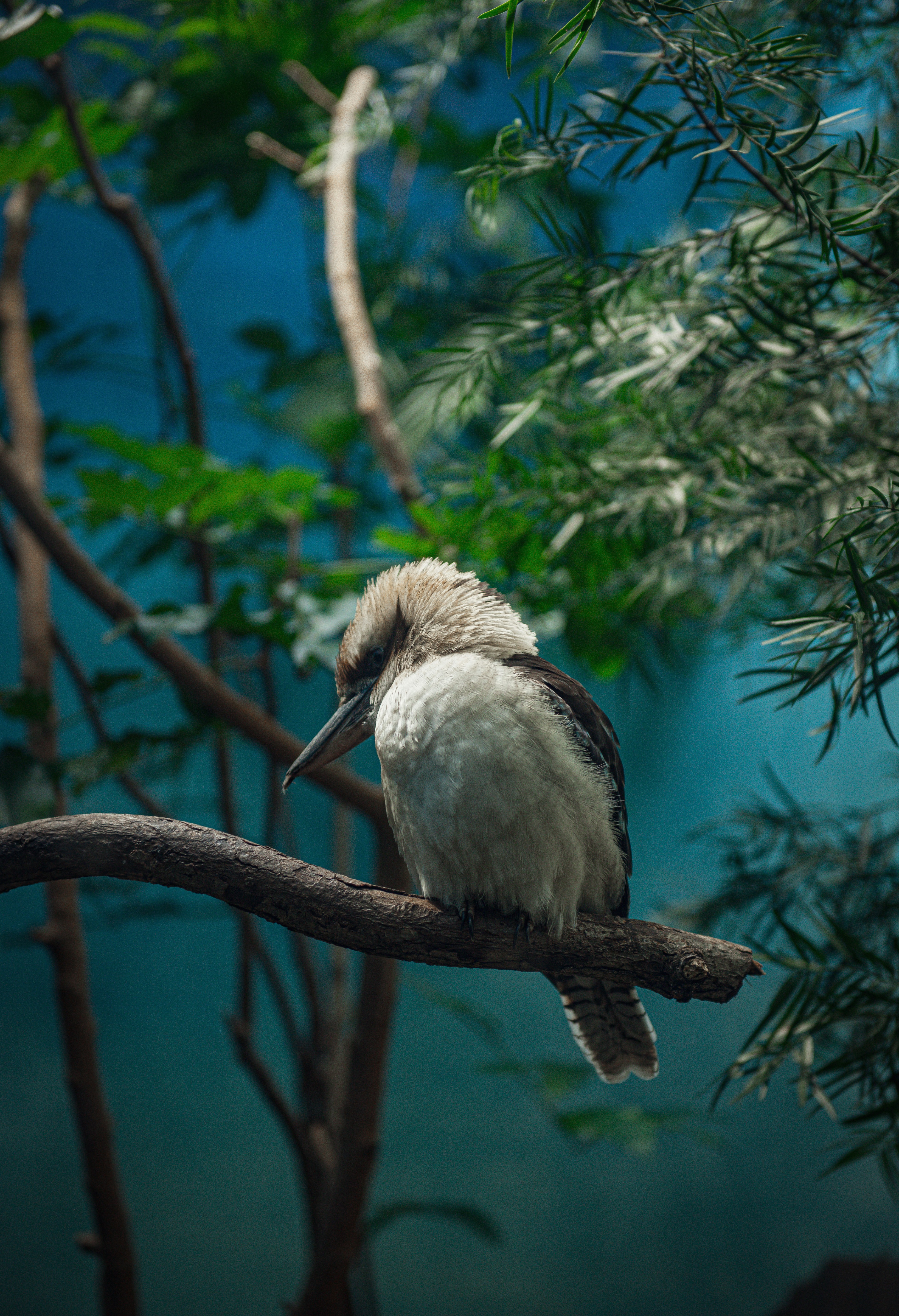 Photo by sadiecoulter