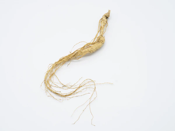 Dried ginseng root