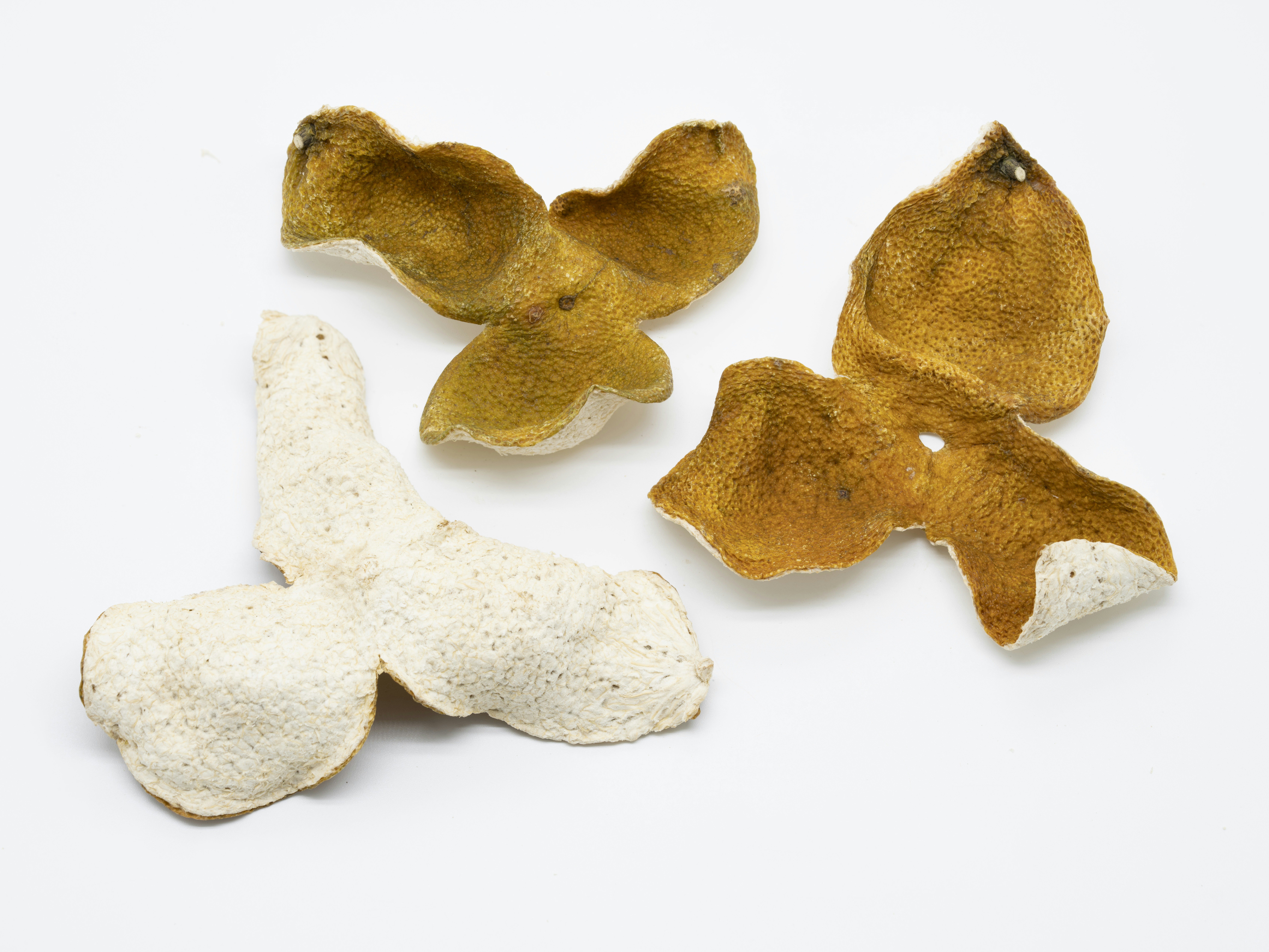 Healthy dog treats made from natural ingredients on display