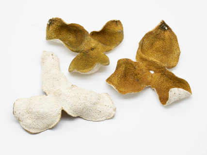 a couple of pieces of food that are on a table