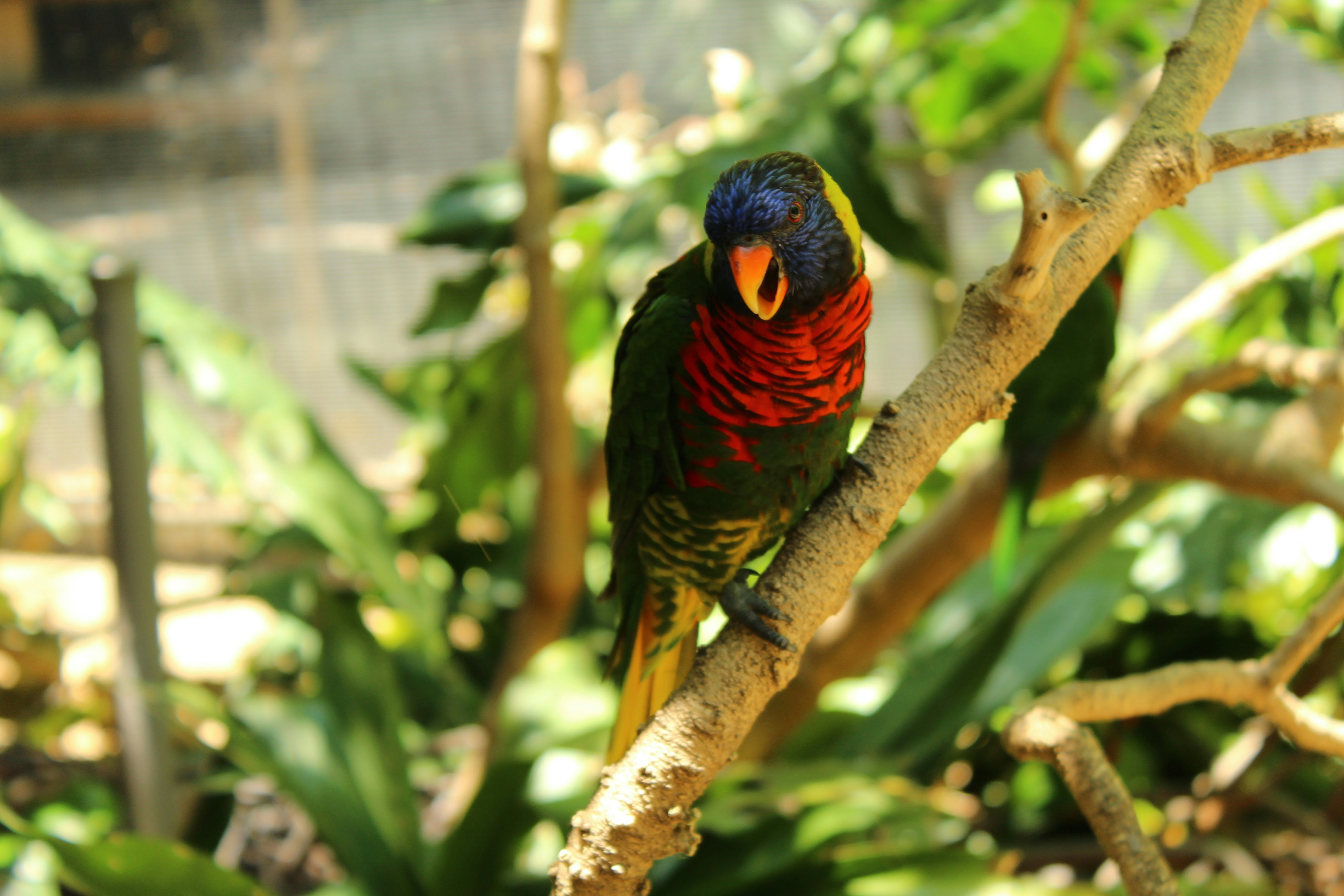 Photo by jackson_rathod