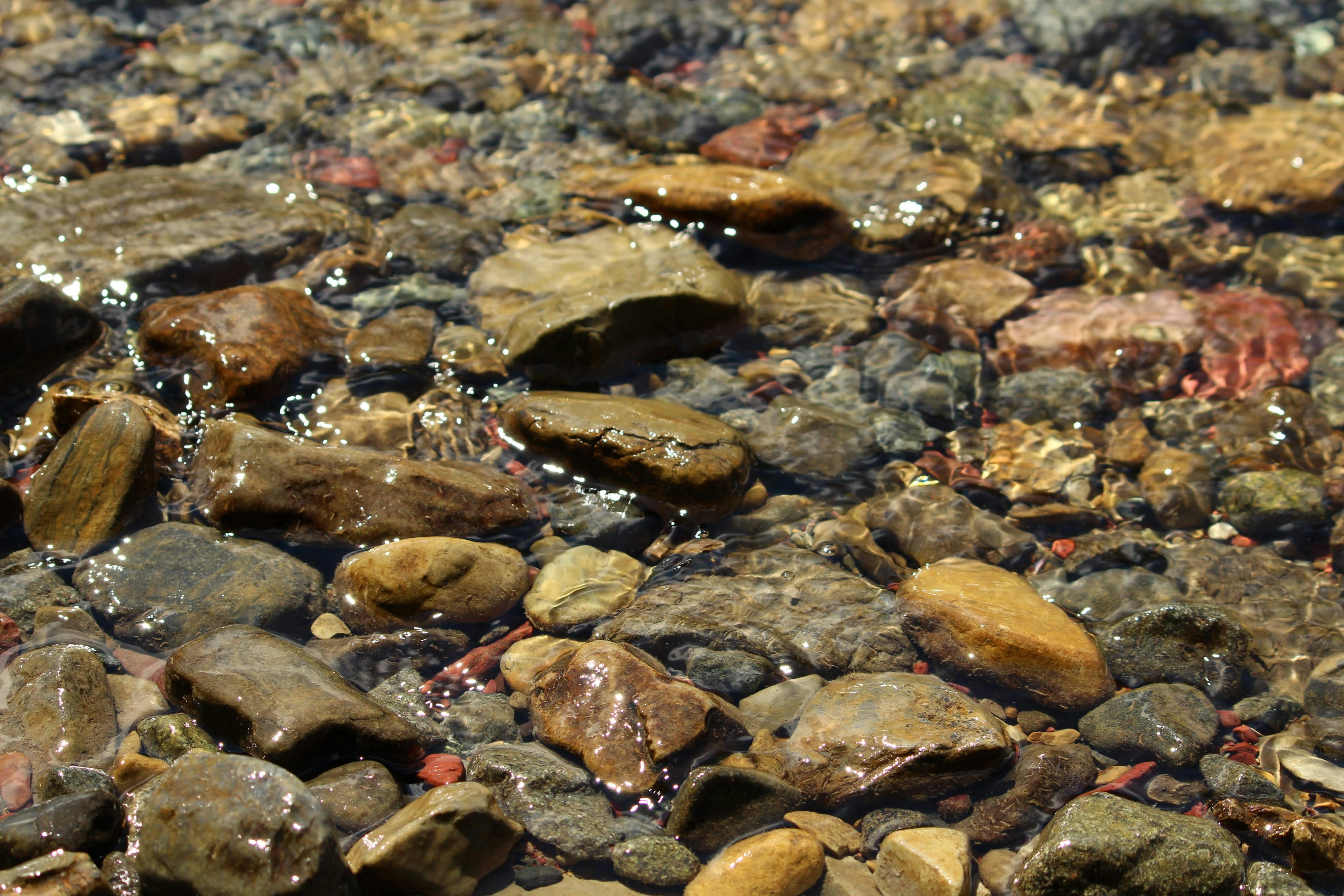 Photo by jackson_rathod