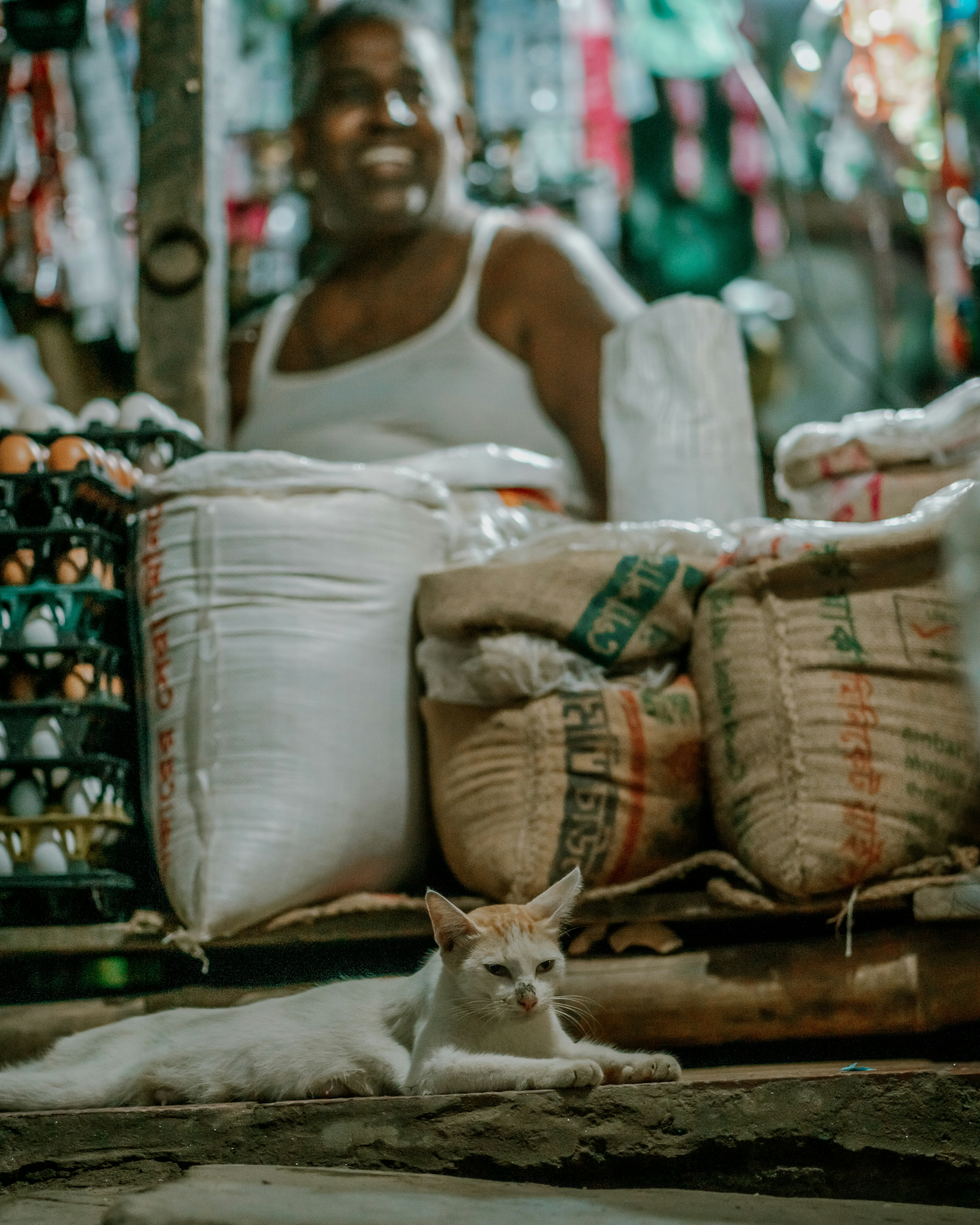 Photo by shuvrosettledown