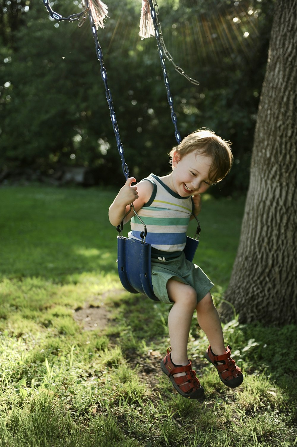 a little boy sitting on a swing in the grass