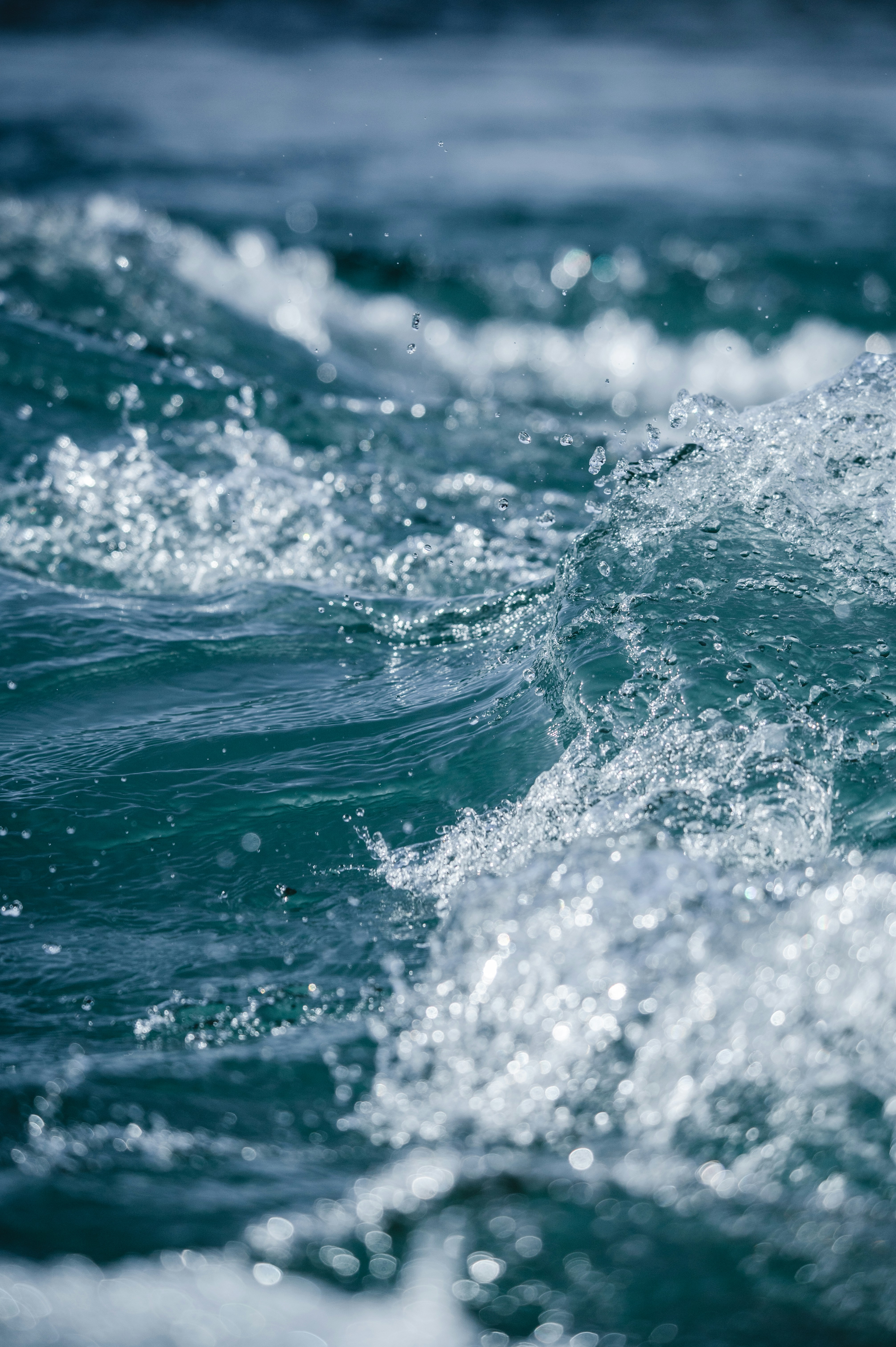 Photo by ryunosuke_kikuno