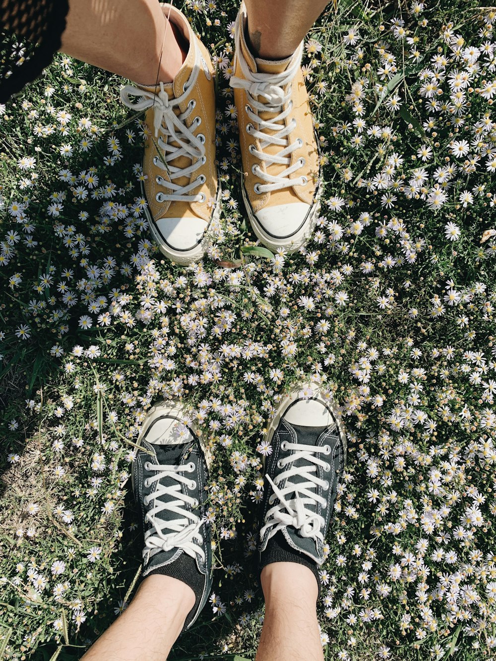two people standing in front of a field of flowers