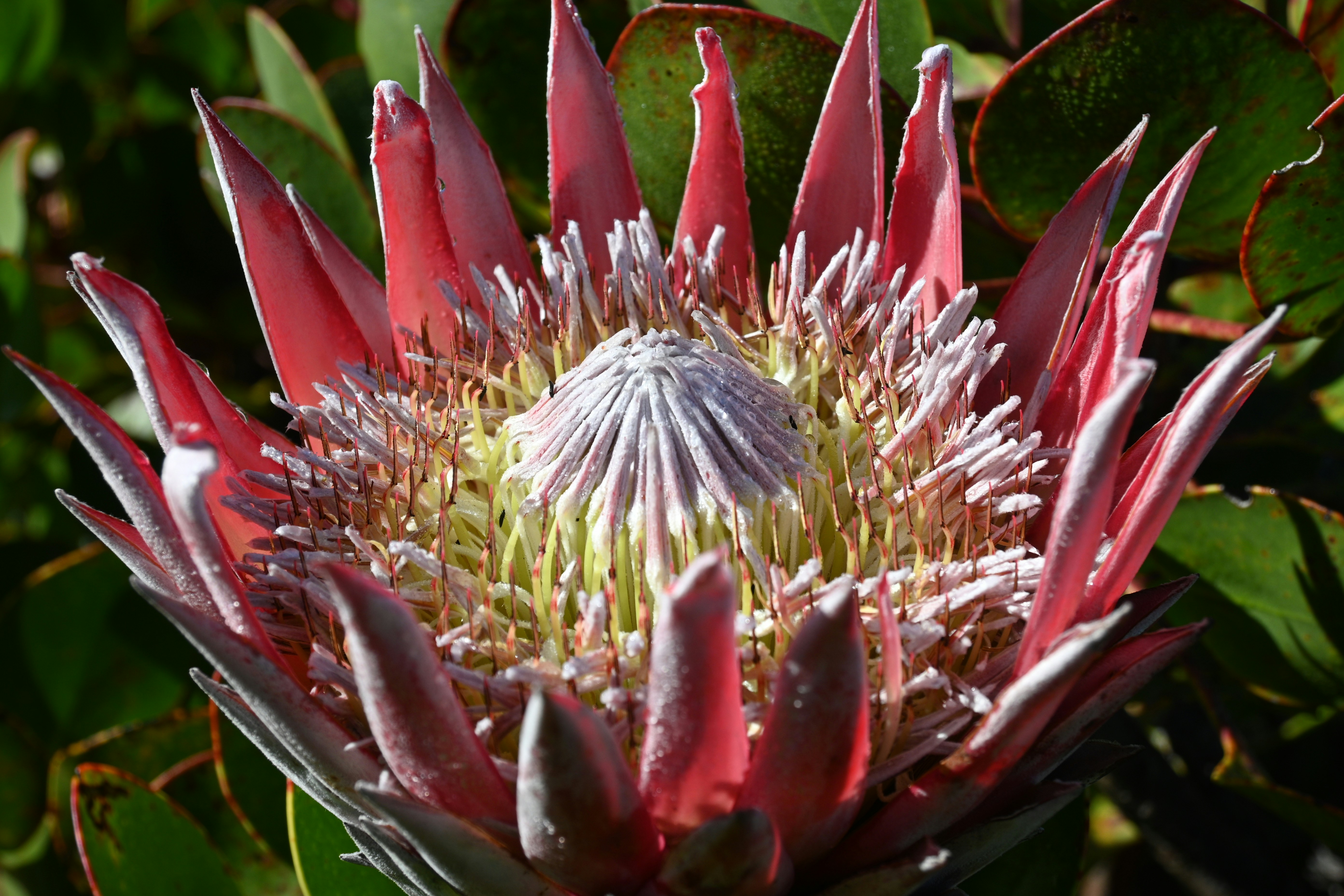 Photo by tanyapaquet