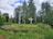 A group of intricately carved totem poles stand in a lush, green forested area. The totem poles display colorful and detailed designs, featuring various symbols and figures. The surrounding landscape includes vibrant grass, tall trees, and a partially cloudy sky.