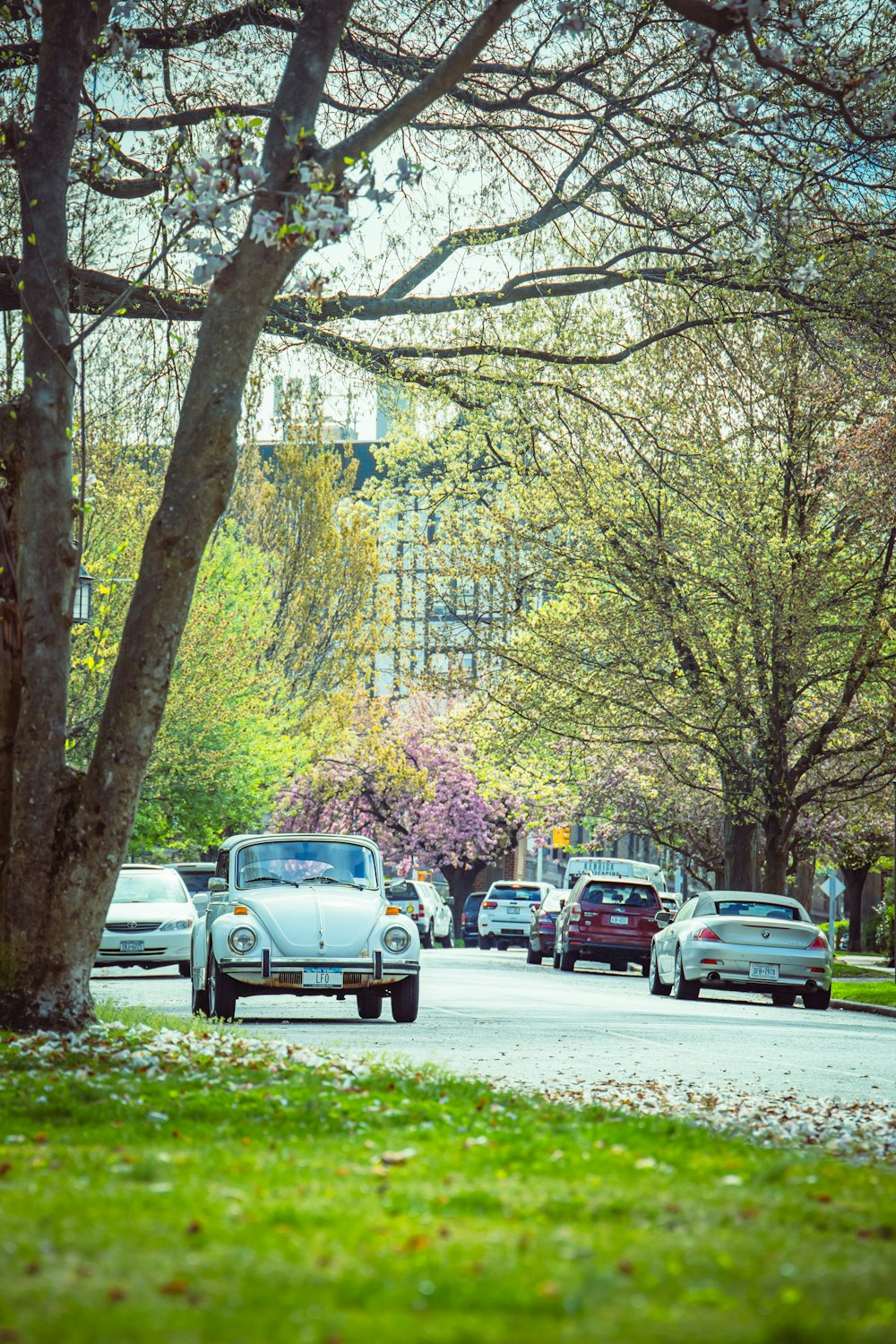 a street filled with lots of traffic next to trees